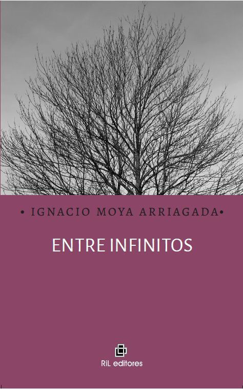 Enlace a libro Entre infinitos. Link to book Entre Infinitos.