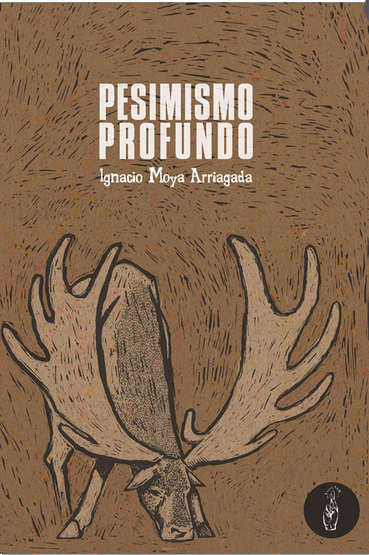 Enlace a libro Pesimismo profundo. Link to book Deep Pessimism